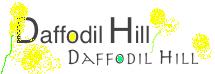 Featured Daffodil Hill Volcano CA  March 21, 2014